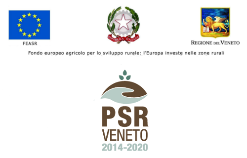 psr
